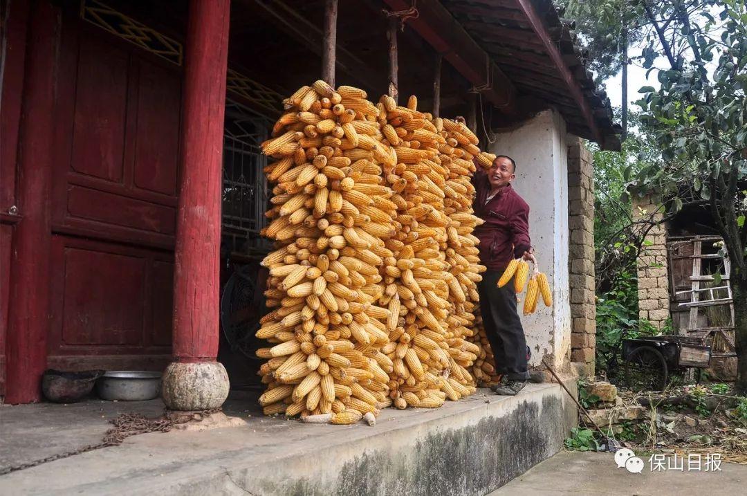 欲钱买冤家路窄的动物是什么生肖的警惕虚假宣传-定量解答解释落实